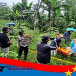 Delapan Hari Tinggalkan Rumah, Seorang Nenek Ditemukan Meninggal di Kebun