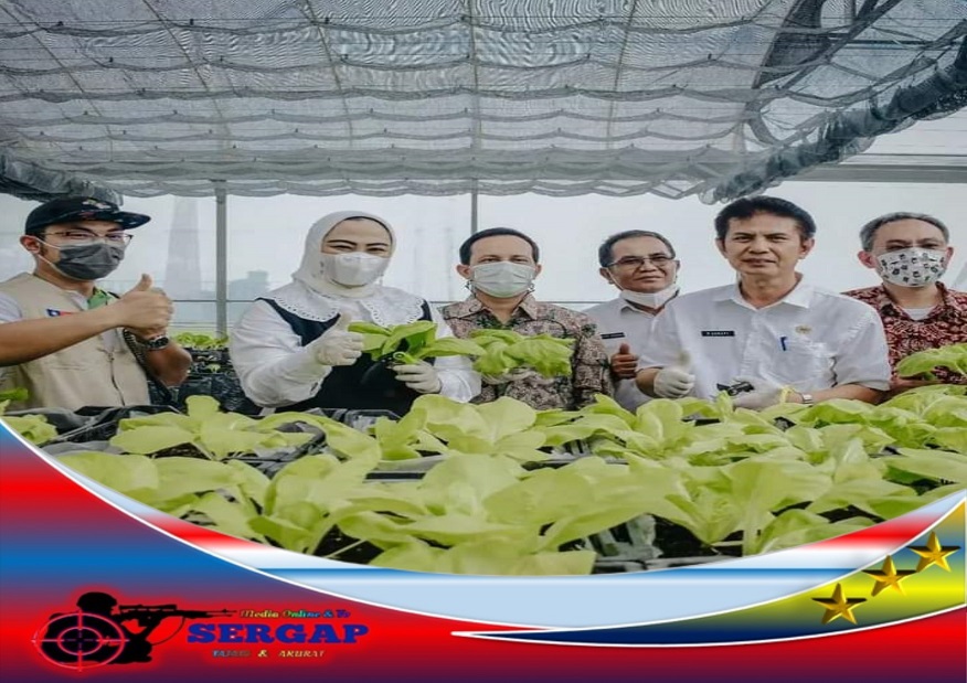 Dongkrak Hasil Produksi Petani, Pemkab Karawang Dorong Swasembada Sayuran