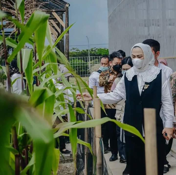 Dongkrak Hasil Produksi Petani, Pemkab Karawang Dorong Swasembada Sayuran