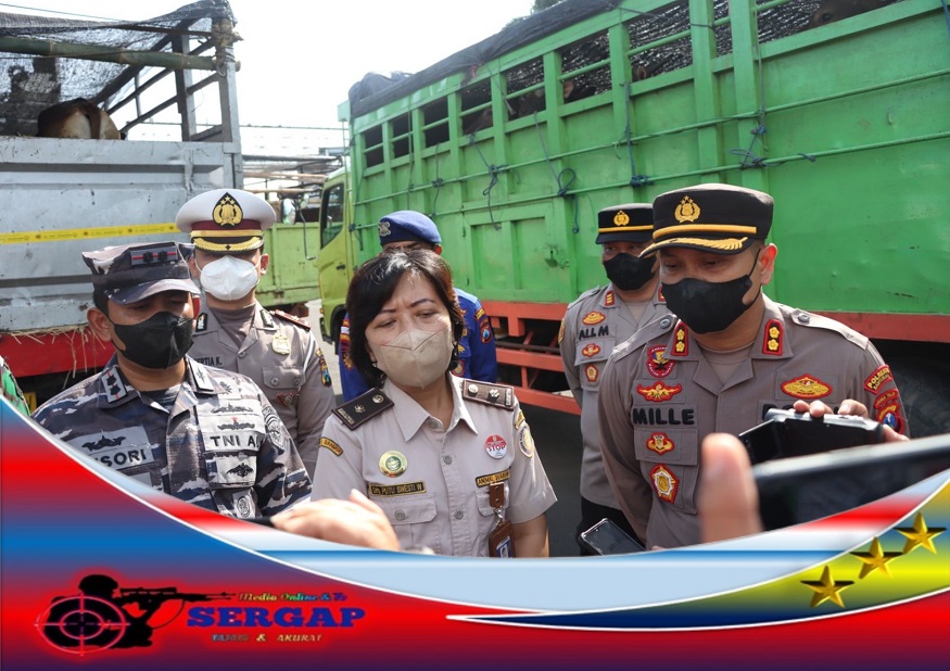 Waspadai Meluasnya Wabah PMK, Kapolresta Banyuwangi pimpin Razia gabungan Truk yang angkut Ternak di Pelabuhan Ketapang.