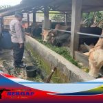 Pantau Kasus PMK, Kasat Binmas Berkoordinasi dengan Dinas Ketahanan Pangan, Pertanian dan Perikanan Kota Tasikmalaya