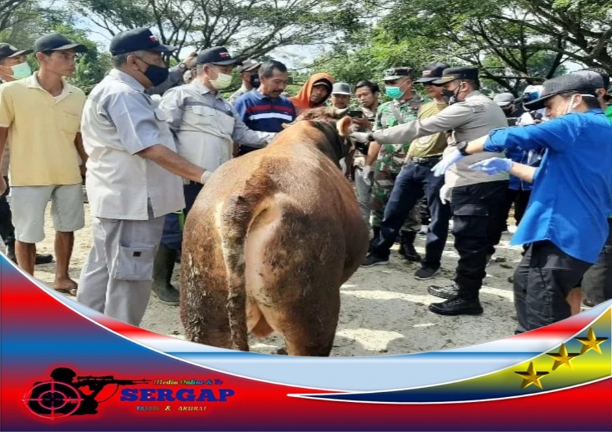 Kapolsek Glenmore Polresta Banyuwangi dan Dinas Pertanian Pangan Bidang Kesehatan Hewan Sosialisasi PMK di Pasar Glenmore