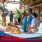 Penyuluh Pertanian Kreatif, UPTD Kecamatan Kotabaru Kabupaten Karawang Ajari Petani Membuat Pupuk Organik Cair Sendiri