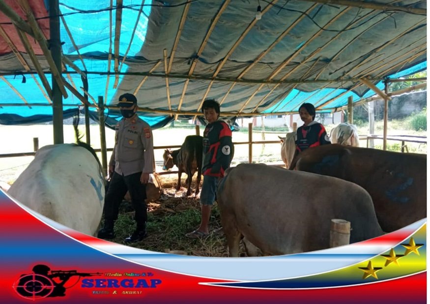 Kapolsek Kadipaten Gandeng BPP dan Dinas Peternakan Sambangi Peternak Sapi, Pantau Penyebaran PMK