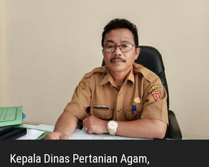 Dir BPKP Sumbar Rahmatsyah Geram, Kadistan Agam, Pembagian Paket PL Catut Nama Sekda