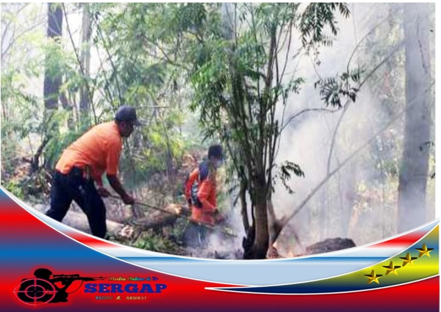 Kebakaran Hutan Di Kawasan Taman Nasional Gunung Ciremai Lebih Dari 48 ...