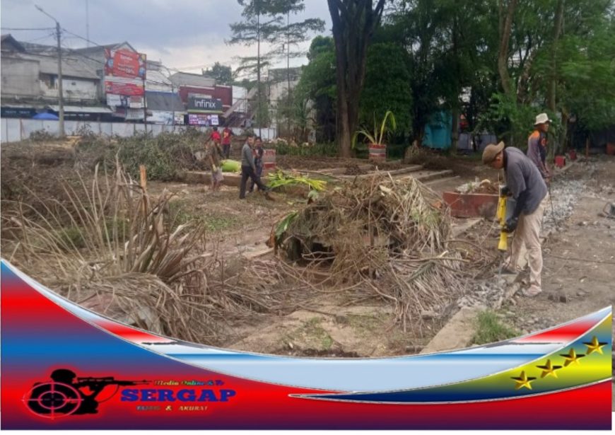 Beberapa Pohon Ditebang Upaya Proses Revitalisasi Kawasan Taman Alun