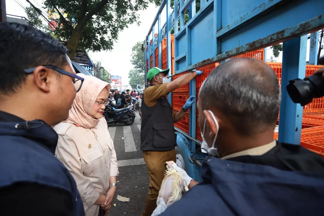 Wina Sariningsih Bersama DKPP Monitoring Kesehatan Ternak Masuk Kota Bandung