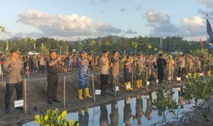 Kapolda NTB Bersama Danrem dan Pemerintah Lakukan Penanaman Mangrove di Sekotong Lobar