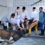 Rayakan Idul Adha 1444 H dan Peringati Hari Bhayangkara 77, Polda NTB Sembelih Ratusan Ekor Hewan Qurban