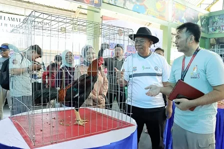 Wahana Penggemar Ayam Hias dan Reptil, PJ. Walikota Cimahi Gelar Shamo Expo 3