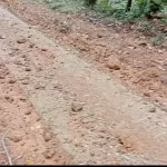 Habiskan Hampir 1/2 M. Kualitas Rabat Beton Pekon Kaca Marga Dipertanyakan