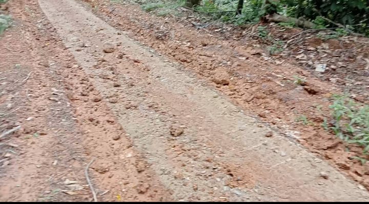 Habiskan Hampir 1/2 M. Kualitas Rabat Beton Pekon Kaca Marga Dipertanyakan