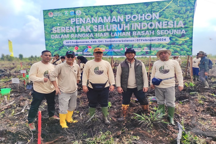 Dukung Pelestarian Lingkungan Hidup, MedcoEnergi Tanam 1,39 juta Pohon di Sumsel