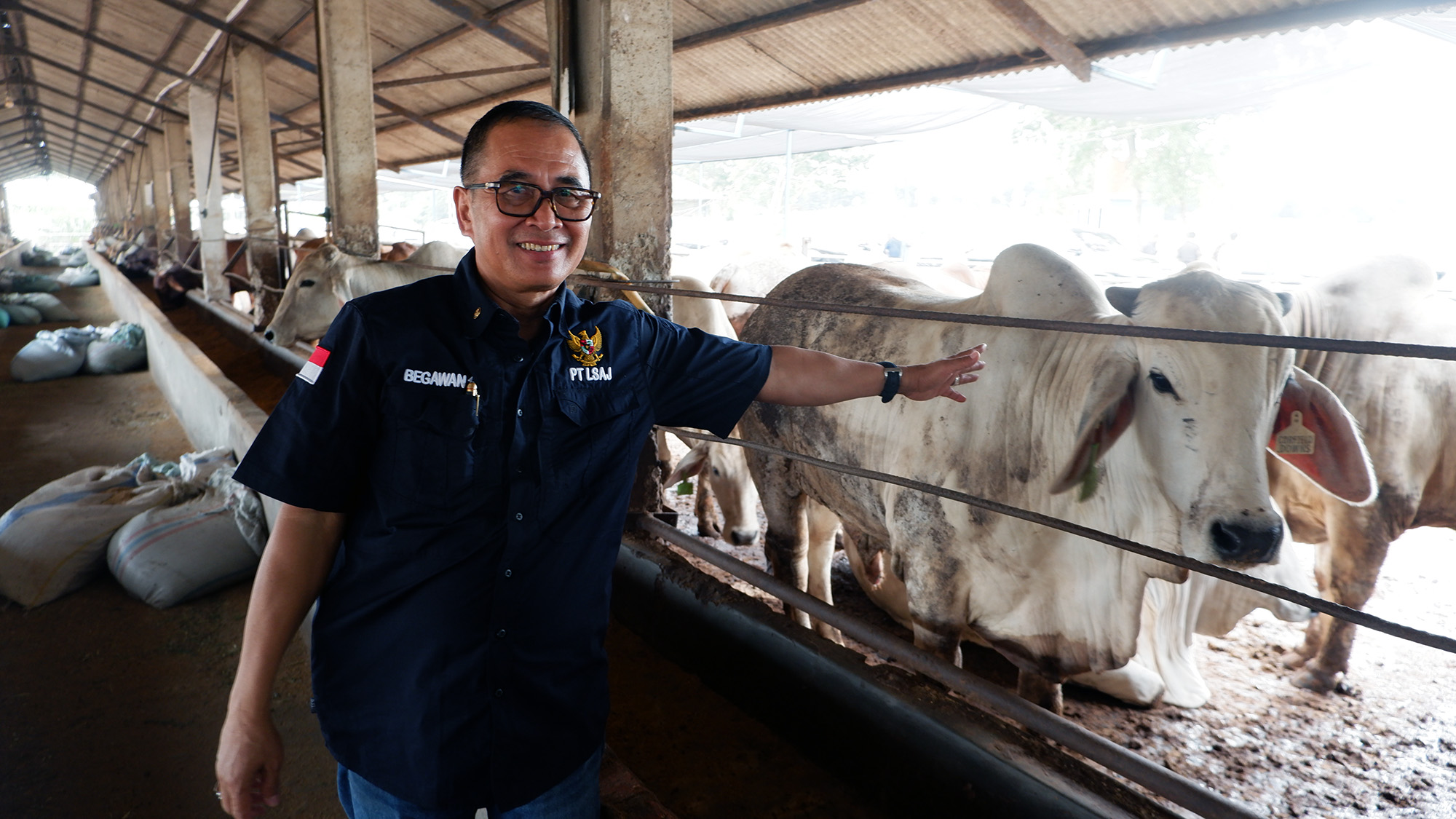 Terobosan Brilian Arie Triyono: Peternakan Terintegrasi di Balaraja, Mendapat DukunganPenuh Ridwan Kamil