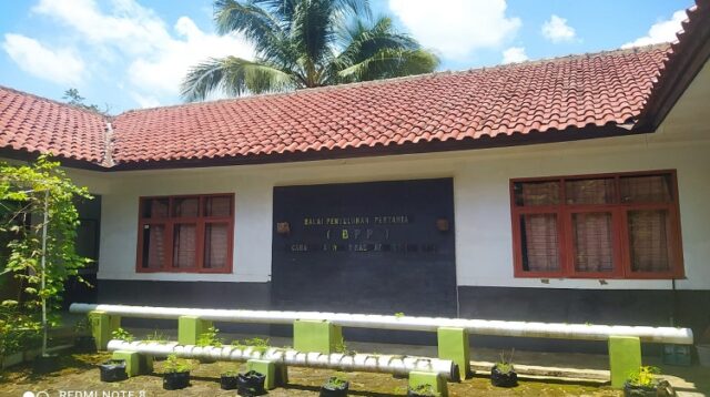 Harga Pupuk Subsidi Melejit Dari HET, Petani Jatiwaras Menjerit, BPP Jatiwaras Bungkam