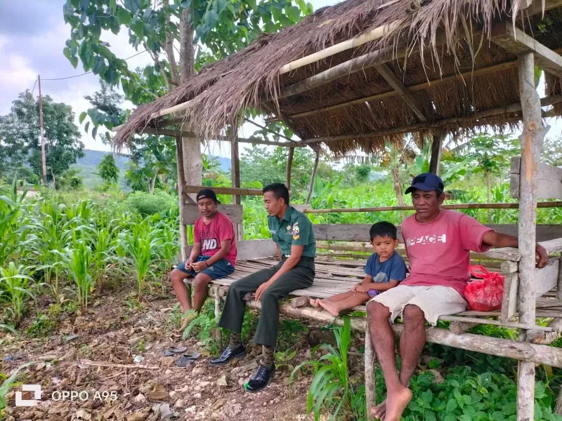 Jaga Ketahanan Pangan, Babinsa Sertu Ketut Pastika Tinjau Perkembangan Tanaman Jagung Milik Warga Binaan