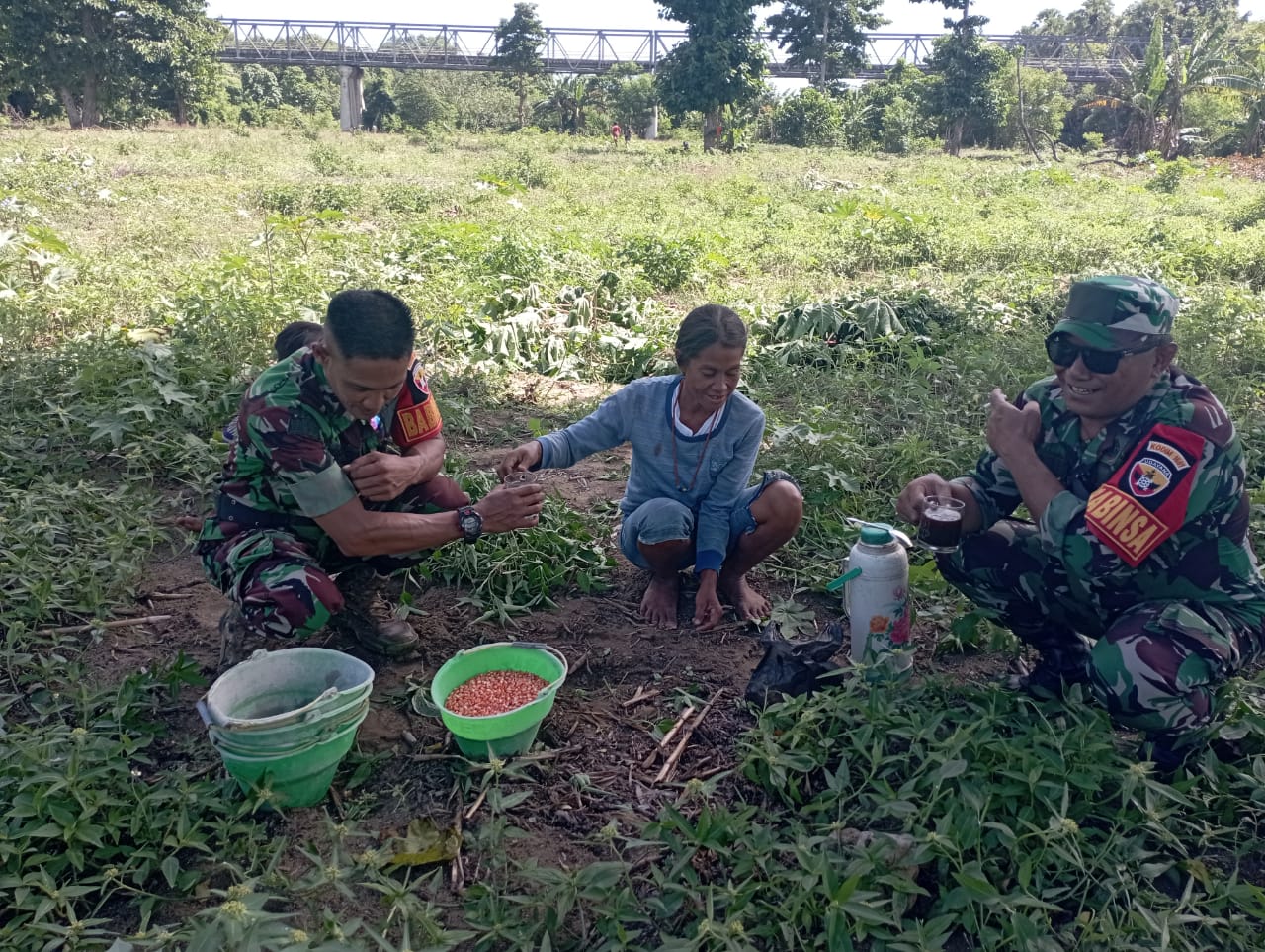 Babinsa Koramil 05/Kota Waingapu Bantu Petani Tingkatkan Produksi Pertanian