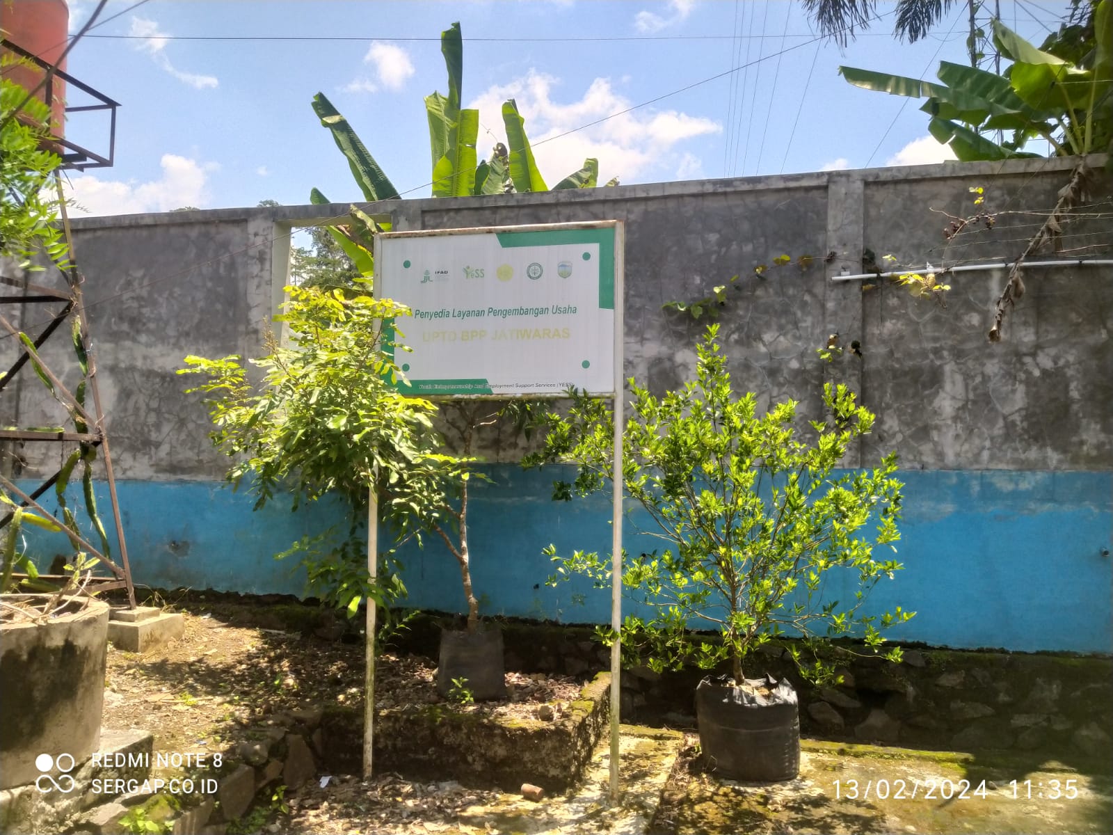 Harga Pupuk Subsidi Melejit Dari HET, Petani Jatiwaras Menjerit, BPP Jatiwaras Bungkam