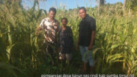 Babinsa Koramil 02/Rindi Umalulu Dampingi Petugas PPL dalam Survei Lokasi Persawahan dan Pertanian di Desa Kayuri Babinsa Koramil 02/Rindi Umalulu Dampingi Petugas PPL dalam Survei Lokasi Persawahan dan Pertanian di Desa Kayuri