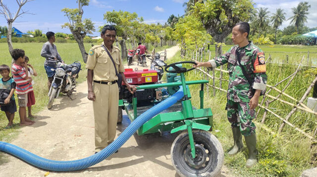 Babinsa Rindi Umalulu Dan Pemdes Kayuri Melakukan Survei Lahan Sawah Tadah Hujan