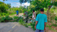 Babinsa Koramil 03/Pahunga Lodu Bersama Bantu Warga Pangkas Pohon di Pinggir Jalan