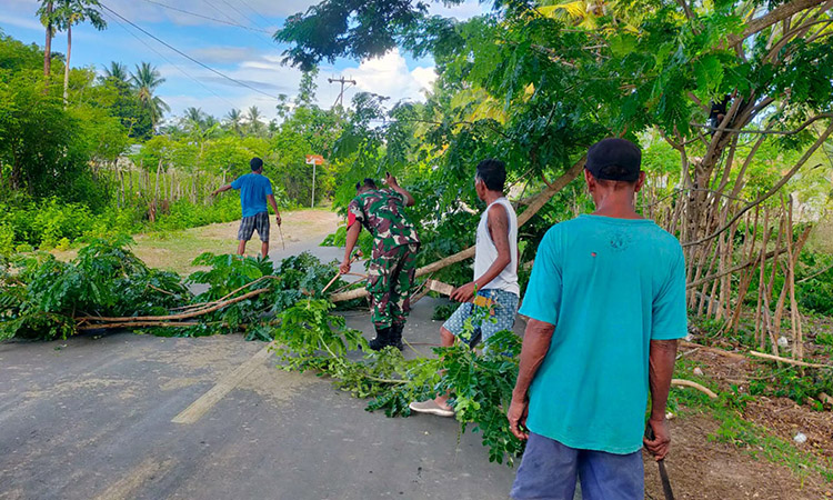 Babinsa Koramil 03/Pahunga Lodu Bersama Bantu Warga Pangkas Pohon di Pinggir Jalan