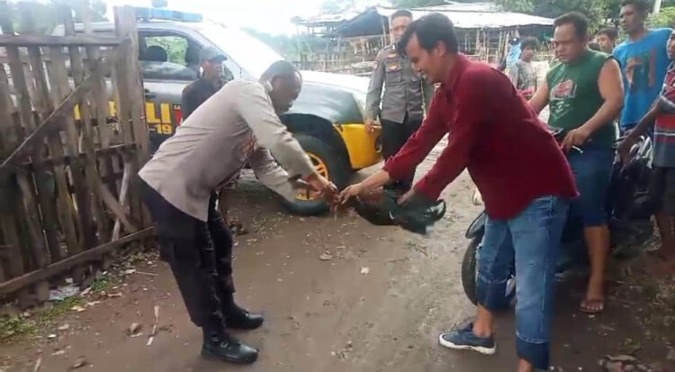 Polsek Bolo Grebek Judi Sabung Ayam, Para Pelaku Lari Kocar-Kacir Polsek Bolo Grebek Judi Sabung Ayam, Para Pelaku Lari Kocar-Kacir