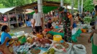 Babinsa Koramil 06/Karera Cek Stabilitas Harga Bahan Pokok ke Pasar