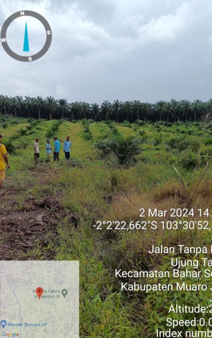 Keluhan Anggota Gapoktan Amanah, Di Program PSR 2023 Di Jambi