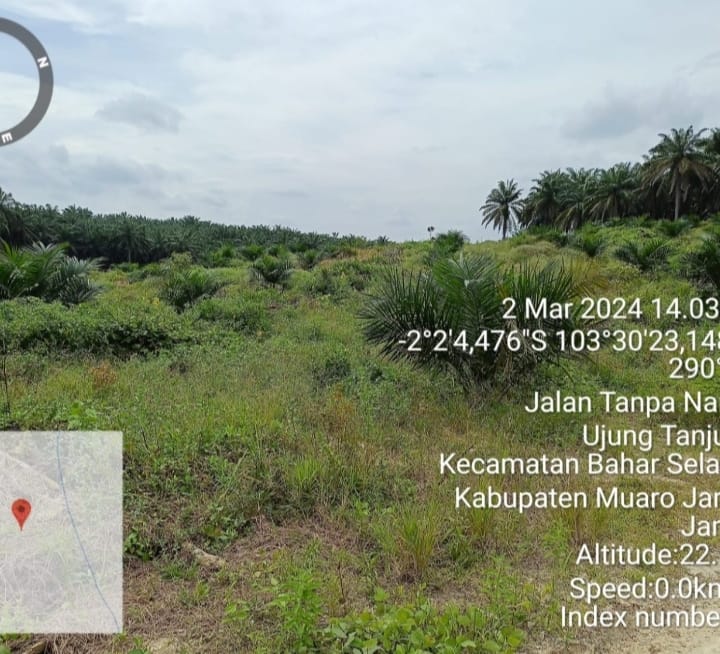 Keluhan Anggota Gapoktan Amanah, Di Program PSR 2023 Di Jambi