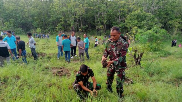 Penanaman Pohon Dalam Rangka Penghijauan Oleh Pemda Dan Kodim 1601/Sumba Timur