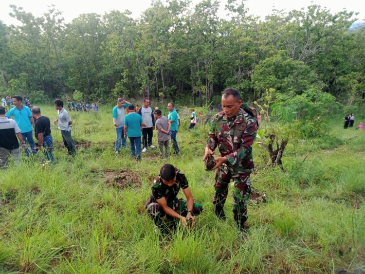 Penanaman Pohon Dalam Rangka Penghijauan Oleh Pemda Dan Kodim 1601/Sumba Timur