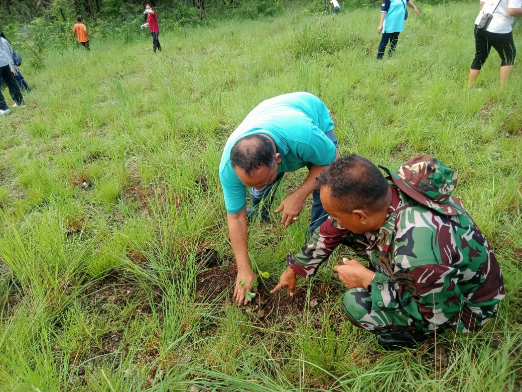 Penanaman Pohon Dalam Rangka Penghijauan Oleh Pemda Dan Kodim 1601/Sumba Timur