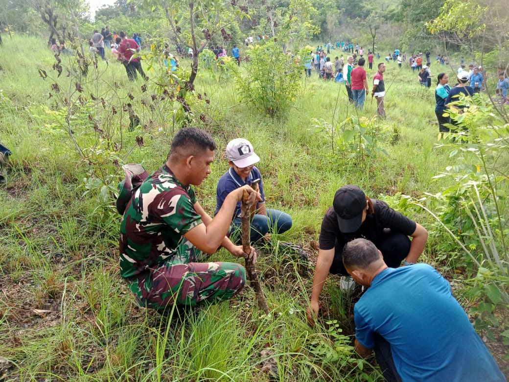 Penanaman Pohon Dalam Rangka Penghijauan Oleh Pemda Dan Kodim 1601/Sumba Timur