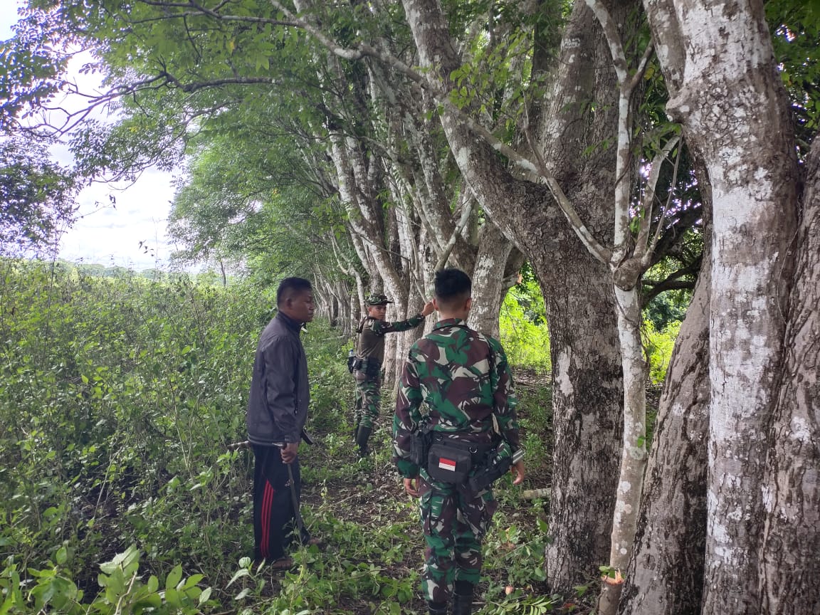 Tumbuhkan Jiwa Gotong Royong, Babinsa Koramil 02/Rindi Umalulu Bantu Potong Kayu Untuk Pembuatan Pagar