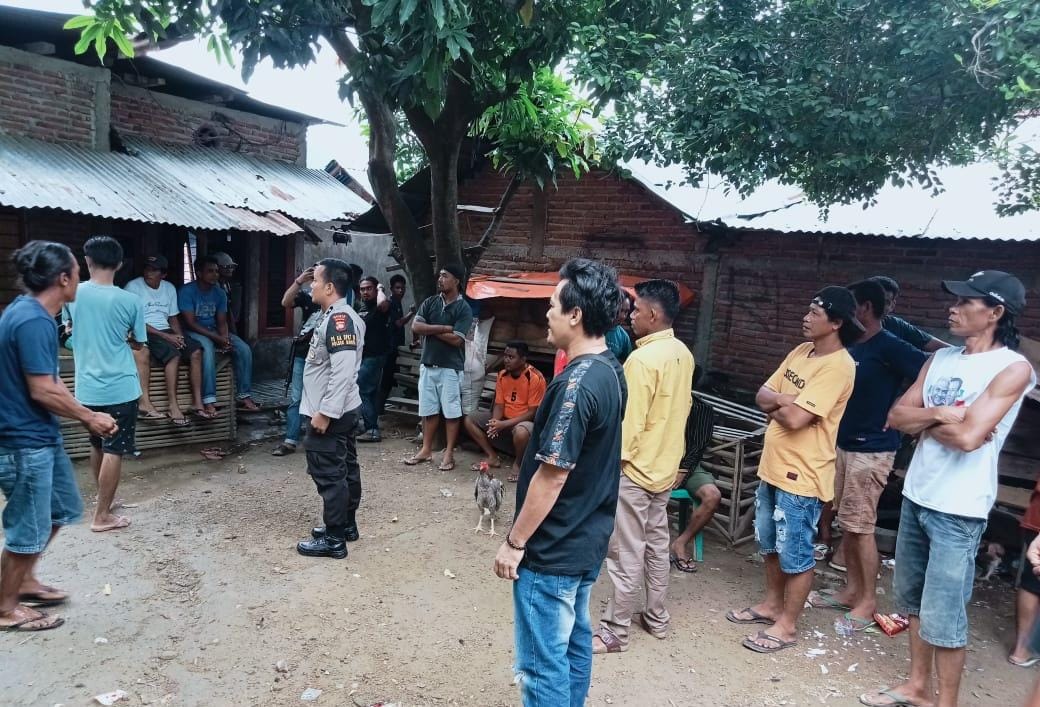 Berantas Penyakit Masyarakat, Polsek Monta Grebek Judi Sabung Ayam di Desa Sie