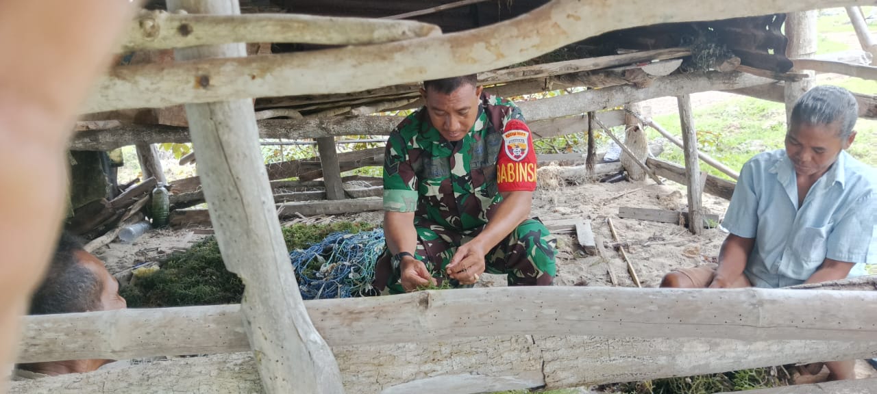Dukung Ekonomi Kreatif, Babinsa Koramil Atapupu Komsos Dengan Petani Rumput Laut
