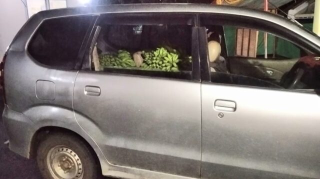Polsek Talang Padang Dibantu Warga Amankan Dua Pencuri Hasil Bumi Bermobil Xenia