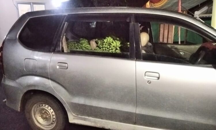 Polsek Talang Padang Dibantu Warga Amankan Dua Pencuri Hasil Bumi Bermobil Xenia Polsek Talang Padang Dibantu Warga Amankan Dua Pencuri Hasil Bumi Bermobil Xenia