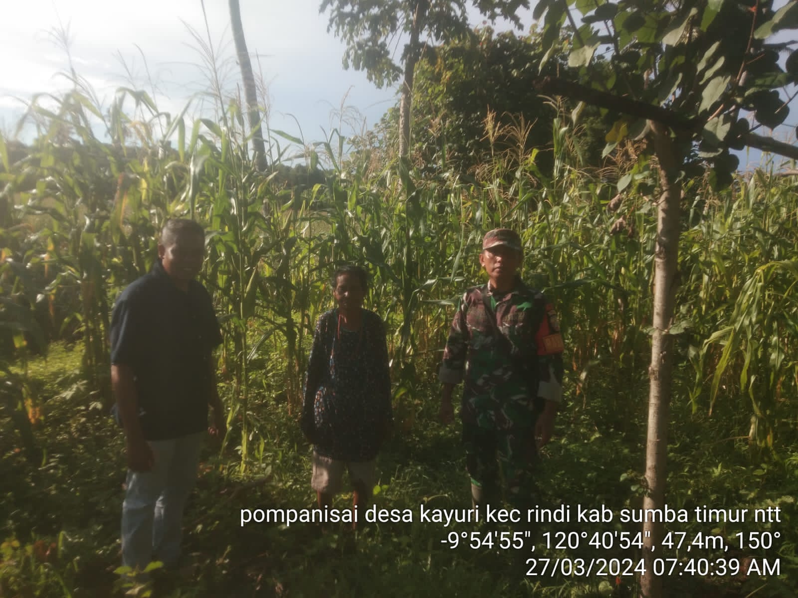 Babinsa Koramil 02/Rindi Umalulu Dampingi Petugas PPL dalam Survei Lokasi Persawahan dan Pertanian di Desa Kayuri