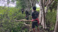 Tumbuhkan Jiwa Gotong Royong, Babinsa Koramil 02/Rindi Umalulu Bantu Potong Kayu Untuk Pembuatan Pagar