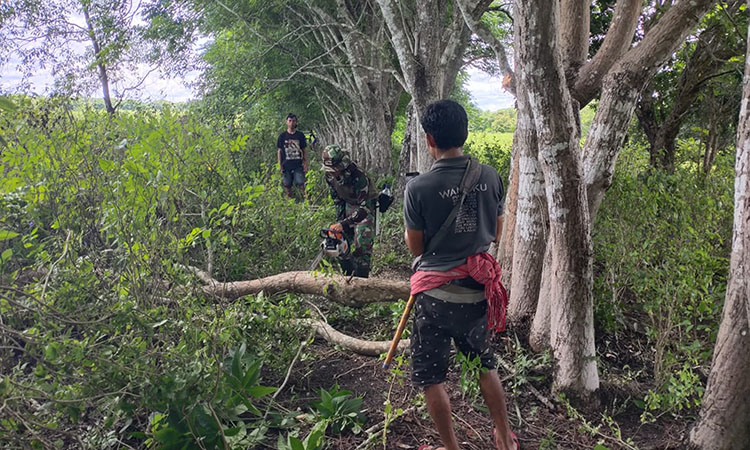 Tumbuhkan Jiwa Gotong Royong, Babinsa Koramil 02/Rindi Umalulu Bantu Potong Kayu Untuk Pembuatan Pagar