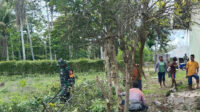 Babinsa Lewa Kerja Bakti Bersihkan Ranting dan Pohon Di Sekitar Kantor Kecamatan Letis