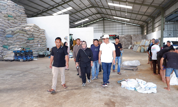 Praktik Baik di Peternakan Terintegrasi Balaraja: Sholawat Diperdengarkan di Kandang Sapi