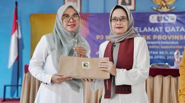 Amanda Bey Machmudin Apresiasi PKK Kota Depok Menurunkan Kasus DBD