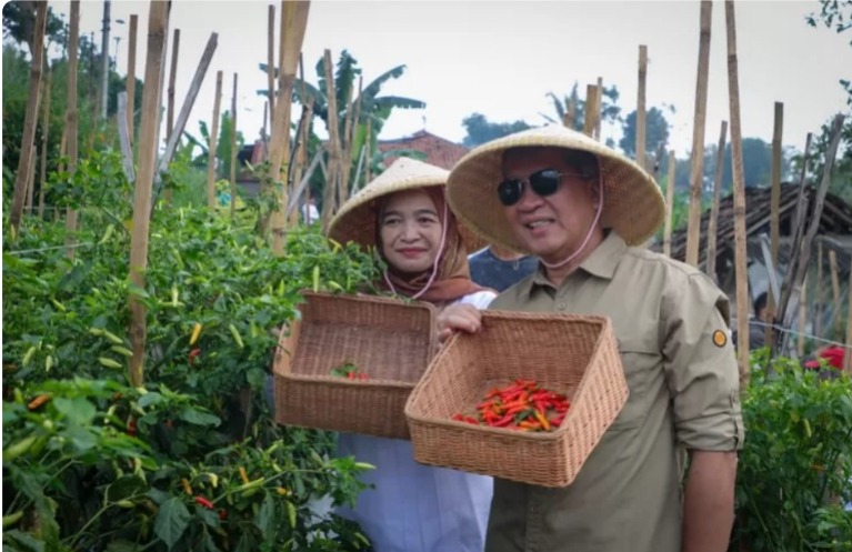Penjabat Wali Kota Cimahi Dicky Saromi Membuka Gerakan Panen Cabe Bersama