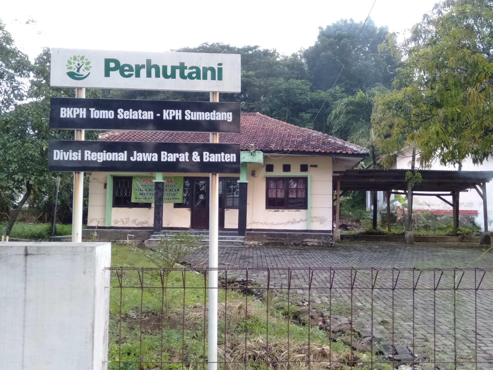 Perhutani RPH Darmawangi Dan RPH Lebaksiuh, Tebang Pohon Kayu