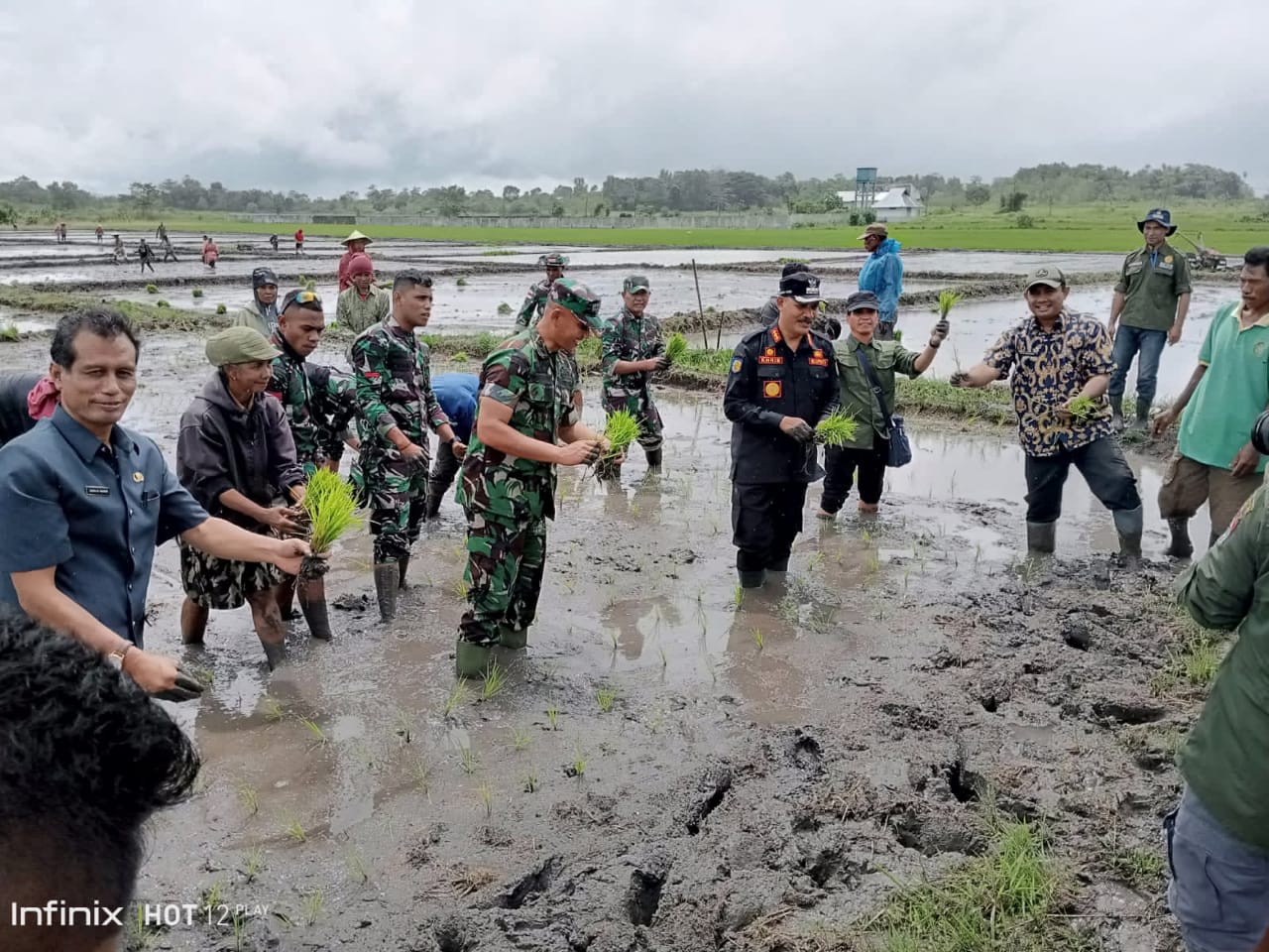 Kegiatan Launching Upsus Pompanisasi Kerjasama Kementrian Pertanian dan TNI Kodim 1601/Sumba Timur