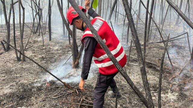 Respon Cepat, Batalyon A Pelopor Brimob Kaltim Padamkan Karhutla di Sepinggan